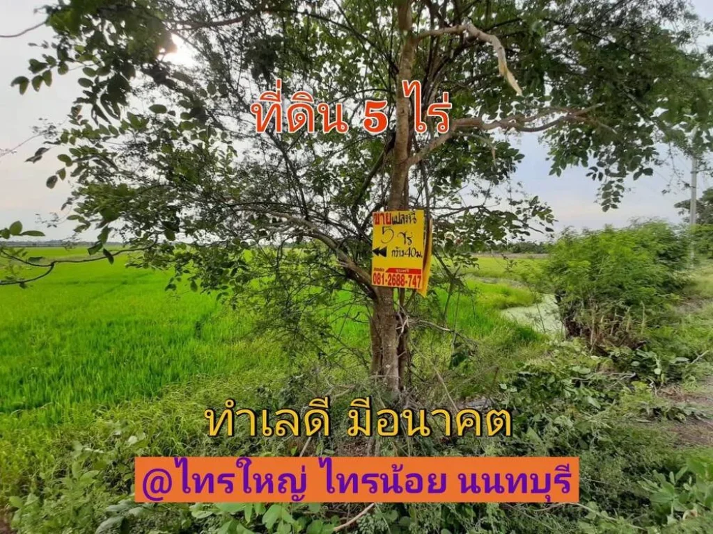 ขายด่วน ที่ดินสีม่วง 5 ไร่ติดถนน นบ3015 ตไทรใหญ่ อไทรน้อย