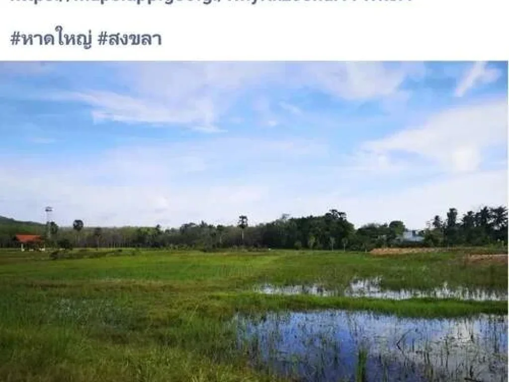 หัวอนุญาตแอดมินครับขายบ้านที่ดินหาดใหญ่สงขลาโซนใต้