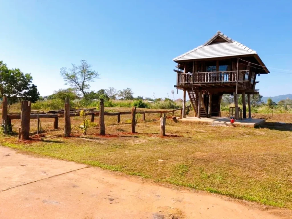 ที่ดินเปล่าพร้อมบ้านไม้สไตล์หลองข้าว ที่ดินติดแม่น้ำ บ้านดู่เมืองเชียงราย