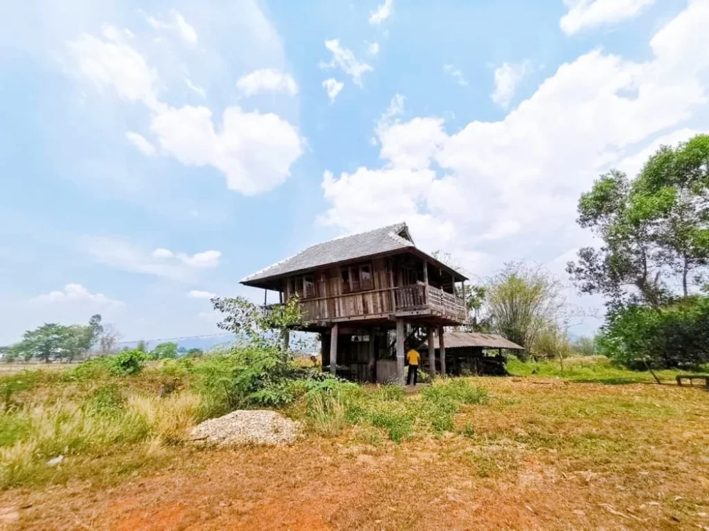 ที่ดินเปล่าพร้อมบ้านไม้สไตล์หลองข้าว ที่ดินติดแม่น้ำ บ้านดู่เมืองเชียงราย