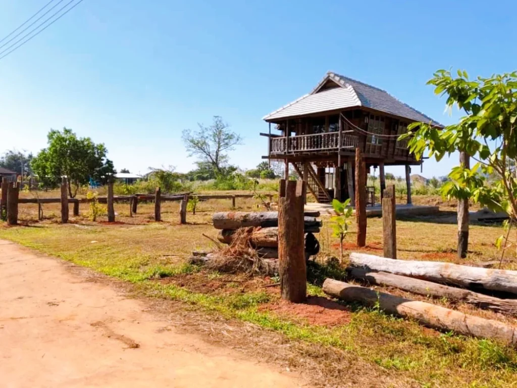 ที่ดินเปล่าพร้อมบ้านไม้สไตล์หลองข้าว ที่ดินติดแม่น้ำ บ้านดู่เมืองเชียงราย