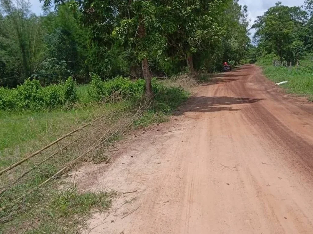 ขายด่วน ที่ดินสวย พร้อมโฉนดบรรยากาศดี เดินทางสะดวก อำเภอเพ็ญ อุดรธานี