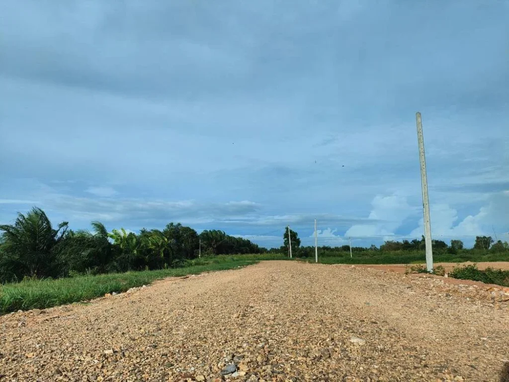 ที่ดินแบ่ง 4 แปลงสุดท้าย บ้านสวนเกษตร คลอง14 หนองเสือ ปทุมธานี