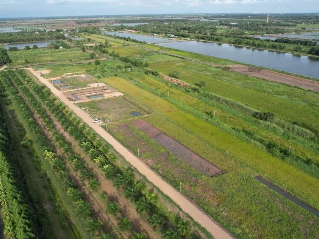 ที่ดินแบ่ง 4 แปลงสุดท้าย บ้านสวนเกษตร คลอง14 หนองเสือ ปทุมธานี