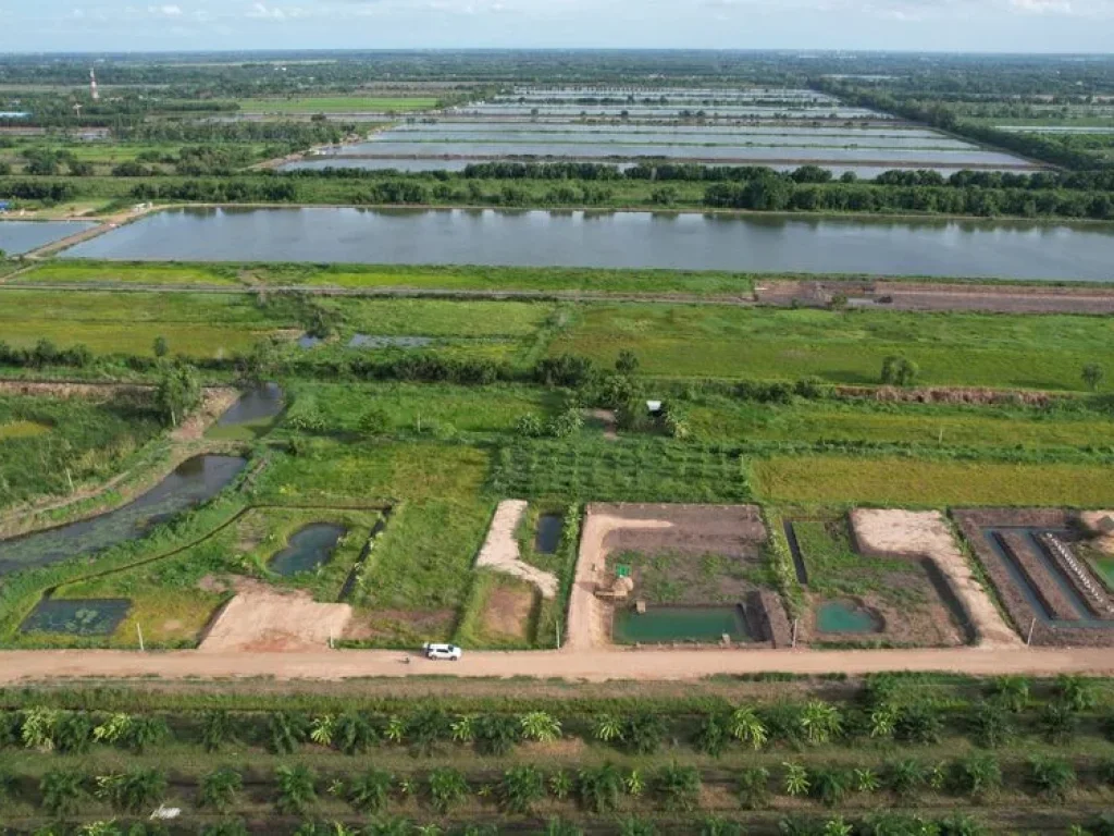 ที่ดินแบ่ง 4 แปลงสุดท้าย บ้านสวนเกษตร คลอง14 หนองเสือ ปทุมธานี