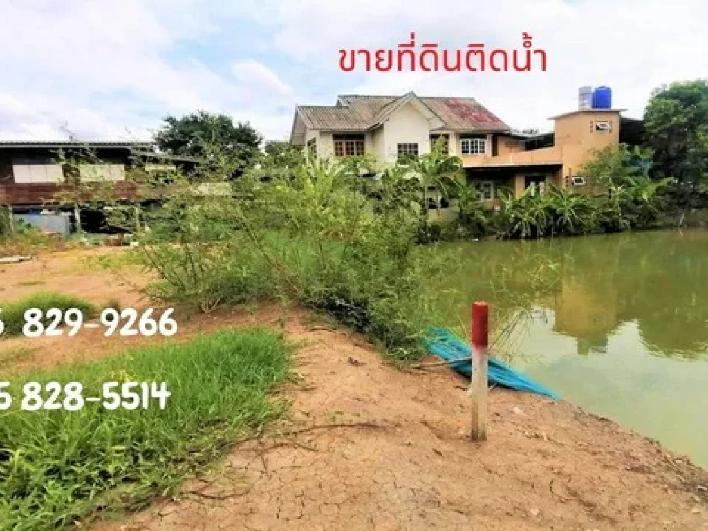 ขายที่ดินเงินผ่อนและเงินสด ให้ผ่อนยาว ๆ 8 ปี จำนวน 40-200 ตรว ถมแล้วติดน้ำสวย สวนพริกไทย ปทุมธานี