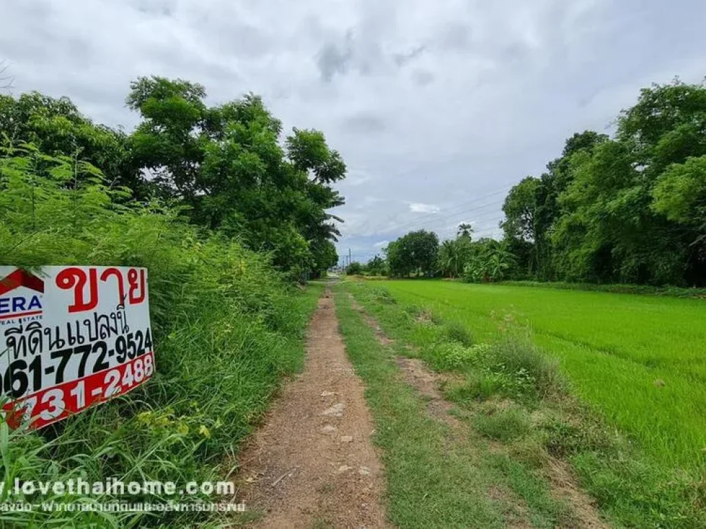 ขายที่ดิน ซอยราษฎร์อุทิศ 54 มีนบุรี ติดถนนสาธารณะ พื้นที่ 125 ตรว หันไปทางทิศตะวันออก