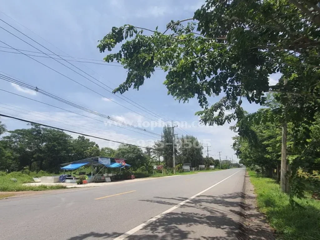 ขายที่ดินหนองเสือ คลองสิบคลอง10 ถนนรังสิต-นครนายก อำเภอหนองเสือ ปทุมธานี