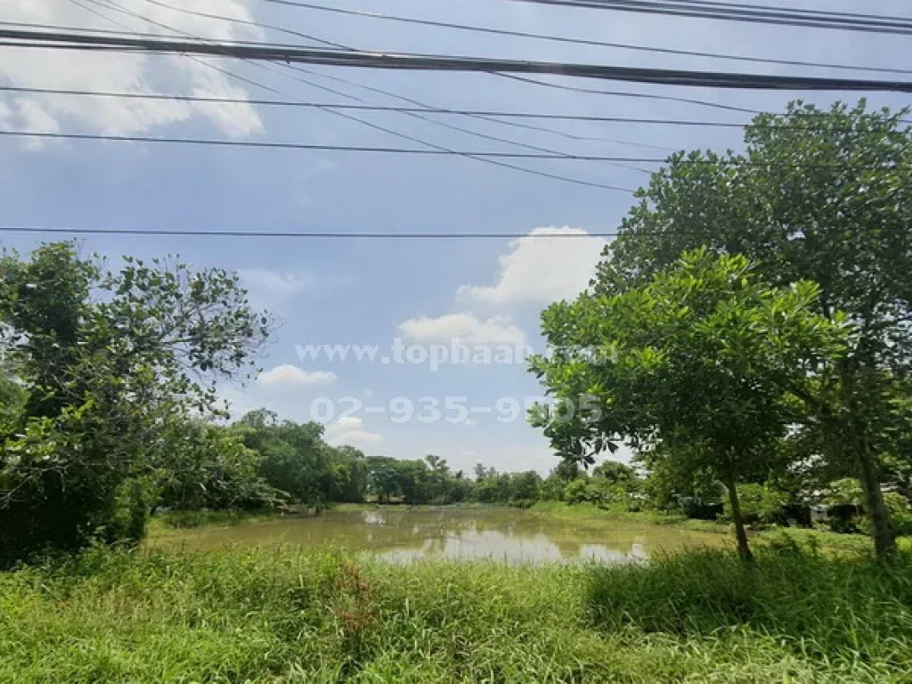 ขายที่ดินหนองเสือ คลองสิบคลอง10 ถนนรังสิต-นครนายก อำเภอหนองเสือ ปทุมธานี