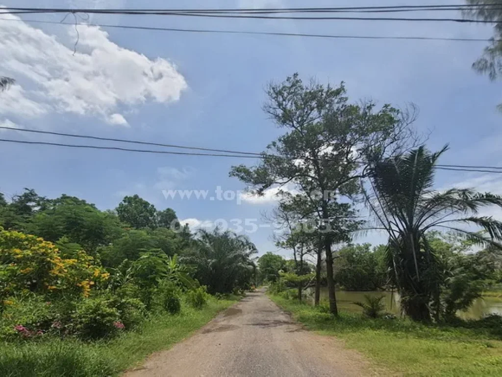 ขายที่ดินหนองเสือ คลองสิบคลอง10 ถนนรังสิต-นครนายก อำเภอหนองเสือ ปทุมธานี