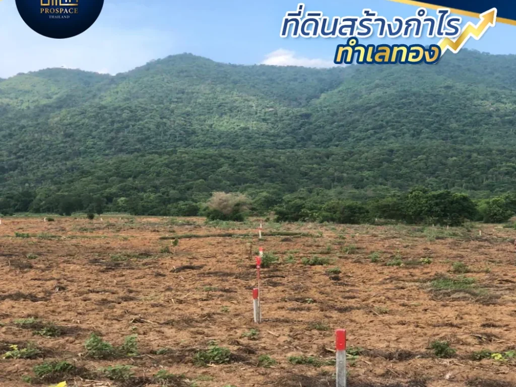 วิวเขาตลอดแนว บรรยากาศเขาใหญ่ สูดโอโซนได้เต็มปอด quotดาวน์ O บาทquot 3OOO-เดือน 60 เดือน