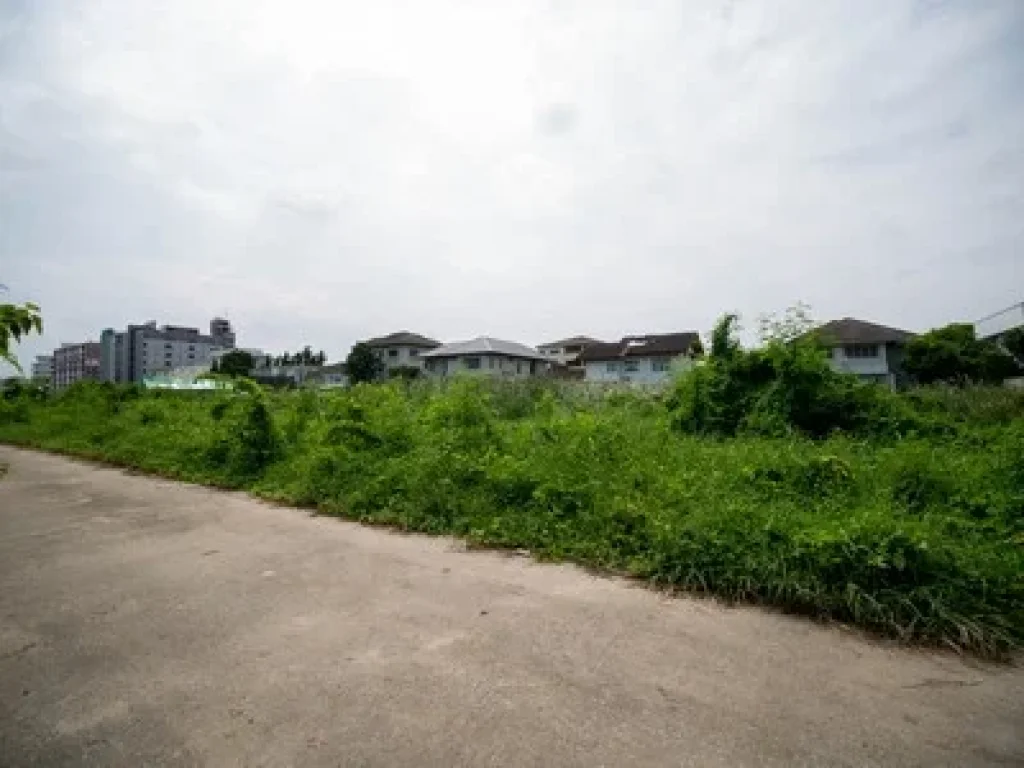 ขายที่ดินเกือบ 1 ไร่ ตรงข้าม Seacon Square ใกล้ MRT สายสีเหลือง เชื่อมศรีนครินทร์ 40 อ่อนนุช 46