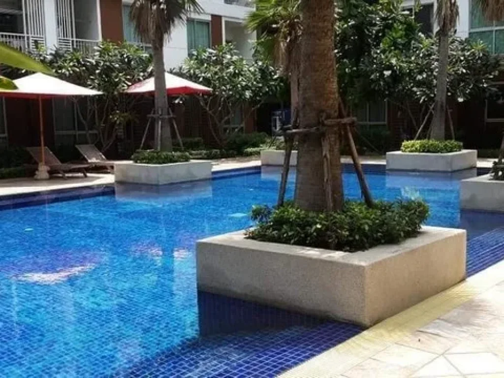 Condo For Rent คอนโด The Niche ID ลาดพร้าว 130 พร้อมเข้าอยู่ ใกล้เดอะมอลล์บางกะปิ