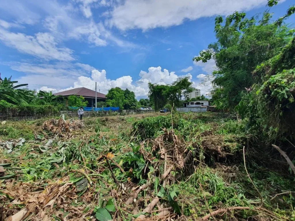 ขายที่ดิน ถนนรัตนาธิเบศร์ ซอย 17 แยก3 ขายใกล้เคียงราคาประเมิน