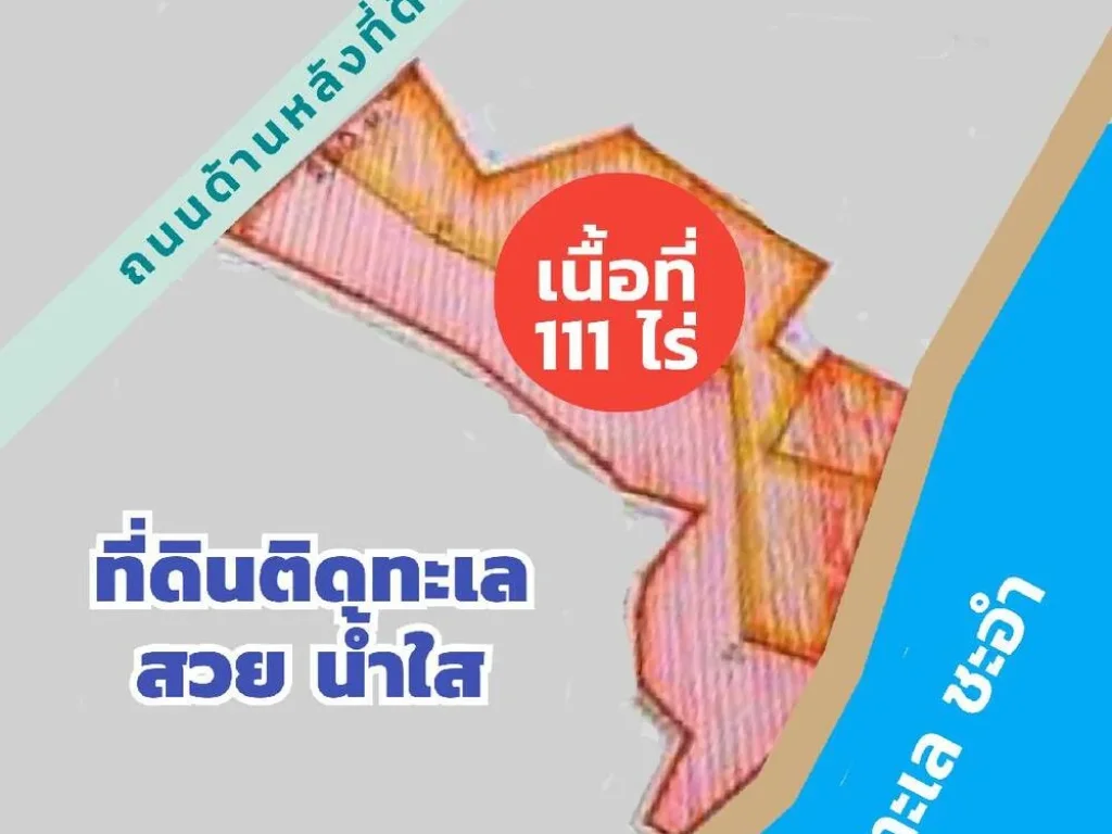 ขาย sale ที่ดินสวยมาก ด้านหน้าติดถนน หาดเจ้าสำราญ - ชะอำ ด้านหลังติดทะเลอ่าวไทย หาดทรายขาว น้ำทะเลใสสะอาด ตบางเก่า อชะอำ จเพชรบุรี จำนวน 111 ไร่