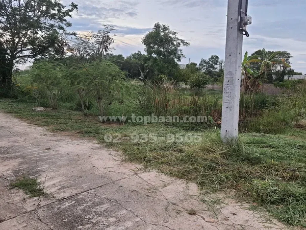 ขายที่ดิน ใกล้อนามัยราษฎร์นิยม ถนนบางบัวทอง-สุพรรณบุรี อำเภอไทรน้อย นนทบุรี