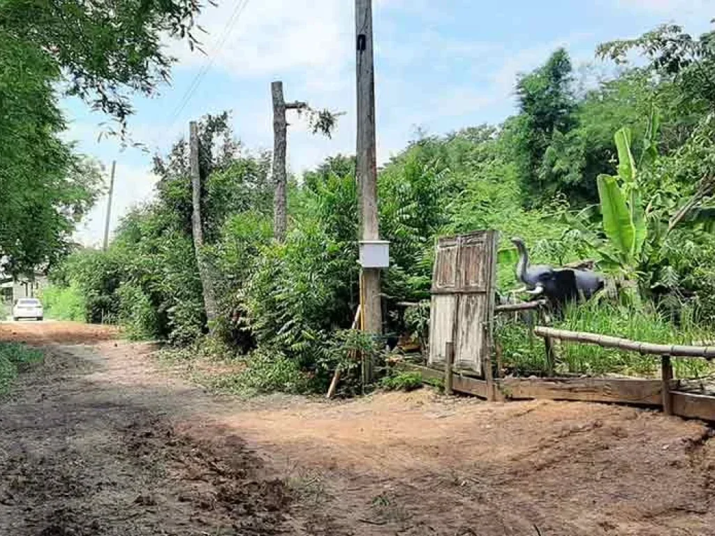 ขายที่ดินใกล้ตลาดศรีบัวบาน ติดถนน 3 ด้าน รั้วใหญ่ เมืองสุพรรณบุรี