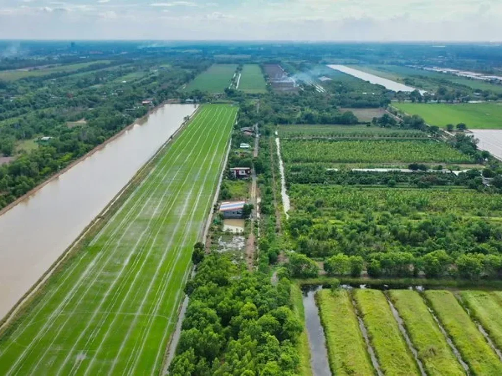 ที่ดิน ถนนเลียบคลอง11 ถนน 3022 หนองเสือ ใกล้ อบตนพรัตน์ ตนพรัตน์ อหนองเสือ ปทุมธานี