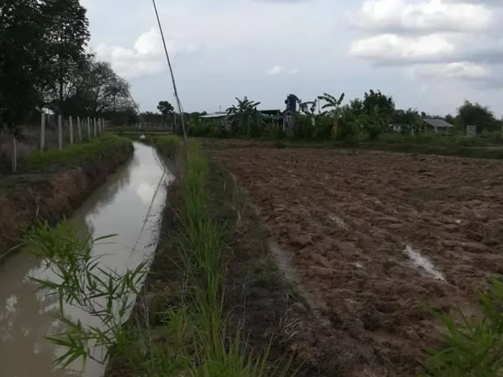 ขายบ้านสวน เจ้าของขายเอง บรรยากาศดี เหมาะแก่การพักผ่อน ทำเกษตรท้องไร่ท้องนา เป็นส่วนตัวไม่วุ่นวาย