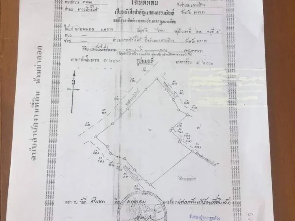 ขายด่วนที่ดินเกาะช้าง เกาะช้างใต้ บ้านสลักคอก ใกล้ลำคลอง ติดถนน