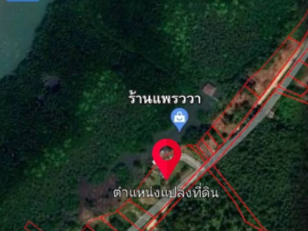 ขายด่วน ขายที่ดินเกาะช้าง พร้อมสิ่งปลูกสร้าง ด้านหน้าติดลำคลอง