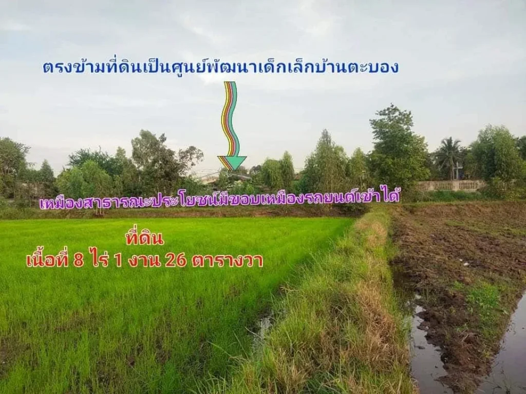 ที่นาสวย ใกล้ทางหลวงพิมาย - ชุมพวง ติดเหมืองสารธารณะประโยชน์ บ้านตะบอง