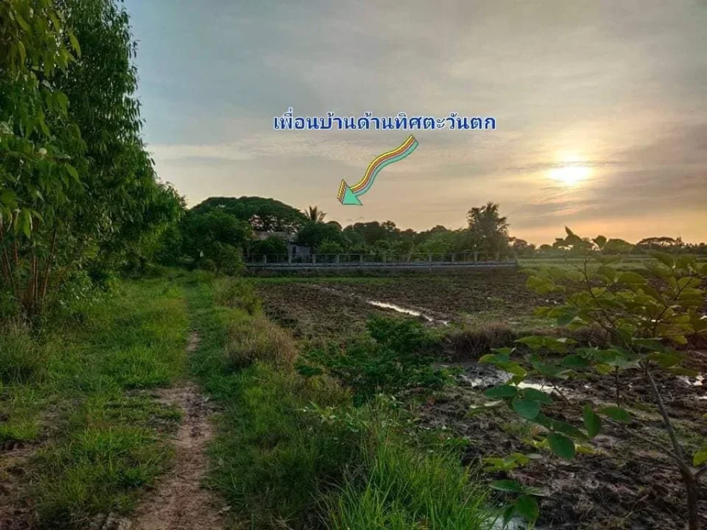 ที่นาสวย ใกล้ทางหลวงพิมาย - ชุมพวง ติดเหมืองสารธารณะประโยชน์ บ้านตะบอง