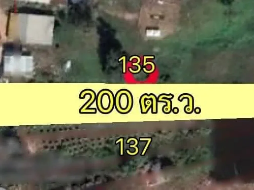 ขายที่ดินติดถนน 200 ตรว ทำเลค้าขาย ทำเลทองด่านซ้าย จเลย