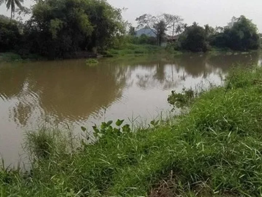 ขายที่ดินริมแม่น้ำท่าจีน 627 ตรว เดิมบาง สุพรรณบุรี