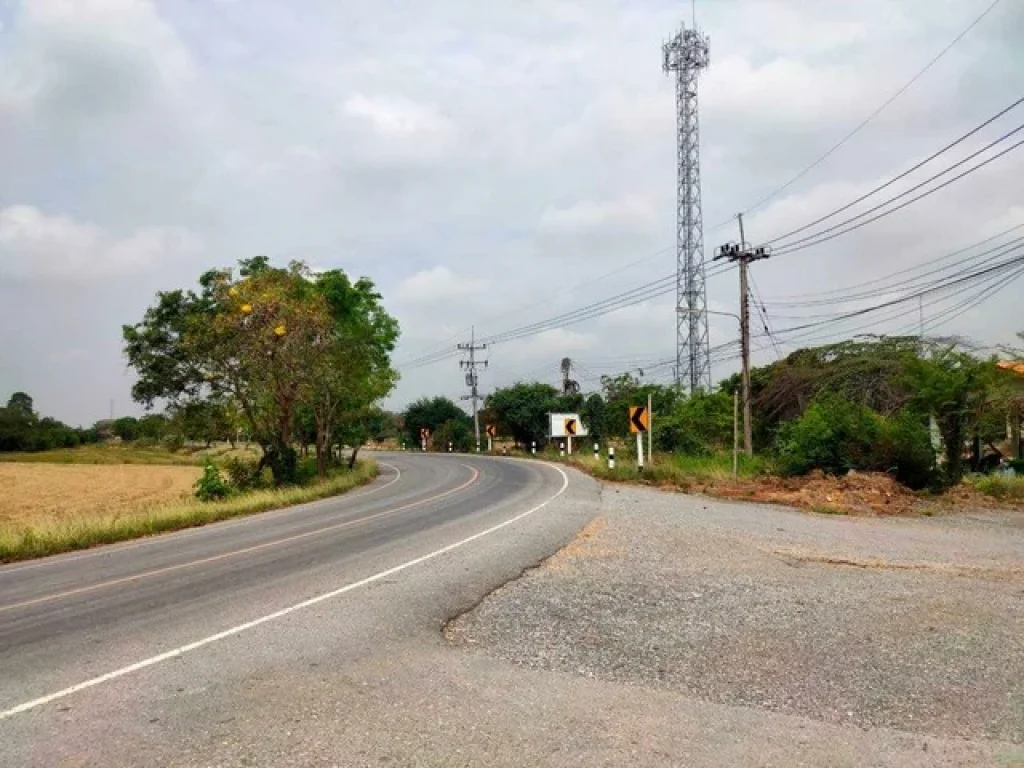 ขายที่ดินริมแม่น้ำท่าจีน 627 ตรว เดิมบาง สุพรรณบุรี