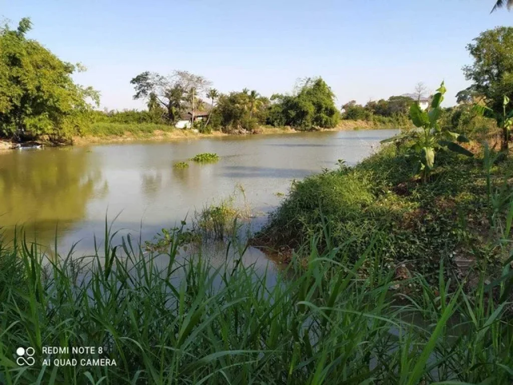 ขายที่ดินริมแม่น้ำท่าจีน 627 ตรว เดิมบาง สุพรรณบุรี