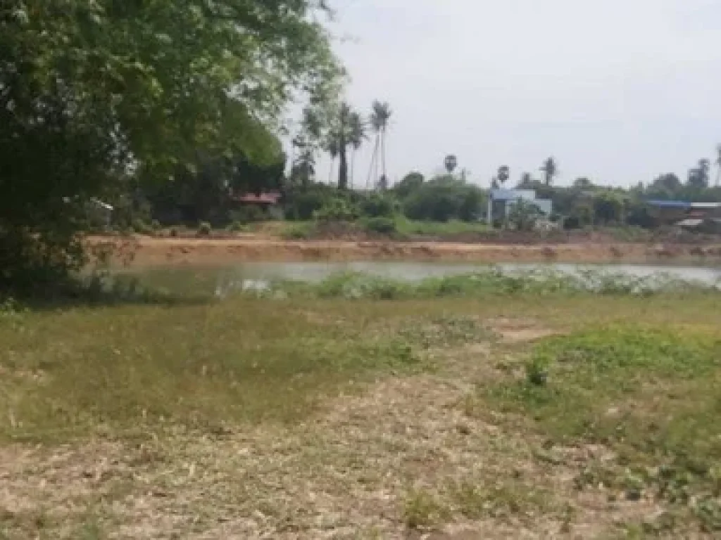 ขายที่ดินสวยริมแม่น้ำท่าจีน 300 ตรว สามชุก สุพรรณบุรี