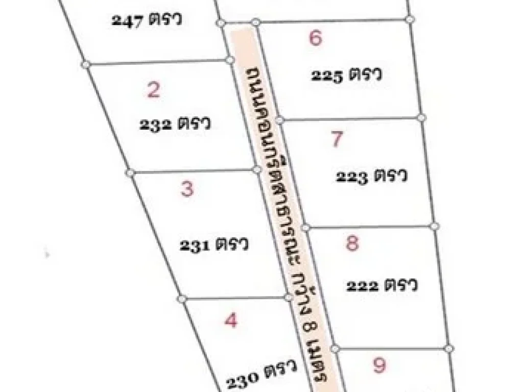 Land For Sale ที่ดินพัทยา แบ่งขาย ซอยทุ่งกลม-ตาลหมัน20