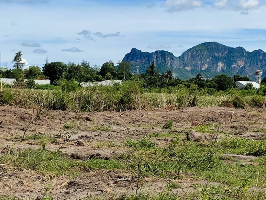 ขายที่ดินใกล้ชายหาดทะเลชะอำ 9ไร่ 342ตรว หน้าติดถนนสาธารณะตัดใหม่ โครงการชะอําเมืองใหม่ หนองแจง ห่างเพชรเกษม 450 เมตร ใกล้ชายหาด 600 เมตร