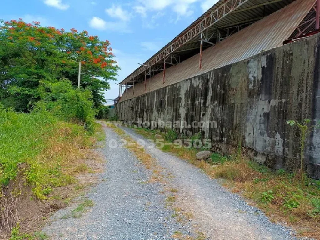 ขายที่ดินใกล้วัดไทยาวาส ถนนนครชัยศรี4006 อำเภอนครชัยศรี นครปฐม