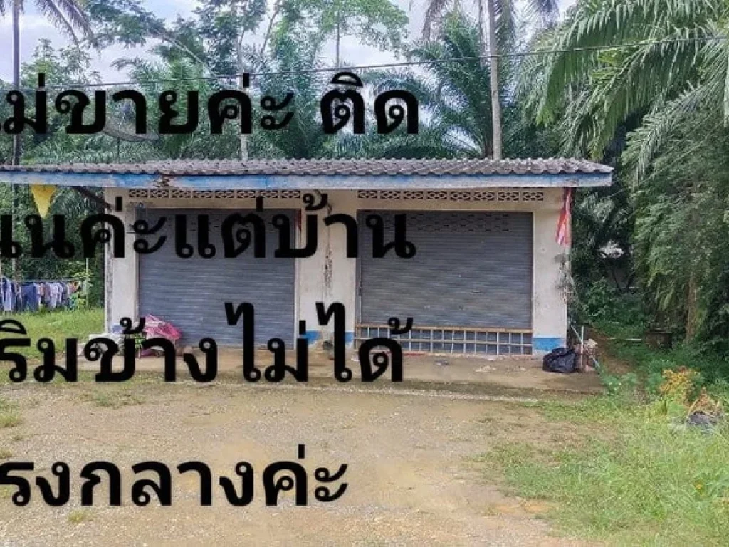 ขายที่ดินติดถนน 401 เนื้อที่ 12 ไร่ ขายยกแปลง 12 ล้านบาท ขายต่ำกว่าราคาประเมินใกล้ที่ว่าการอำเภอบ้านตาขุนเพียง 2 กม