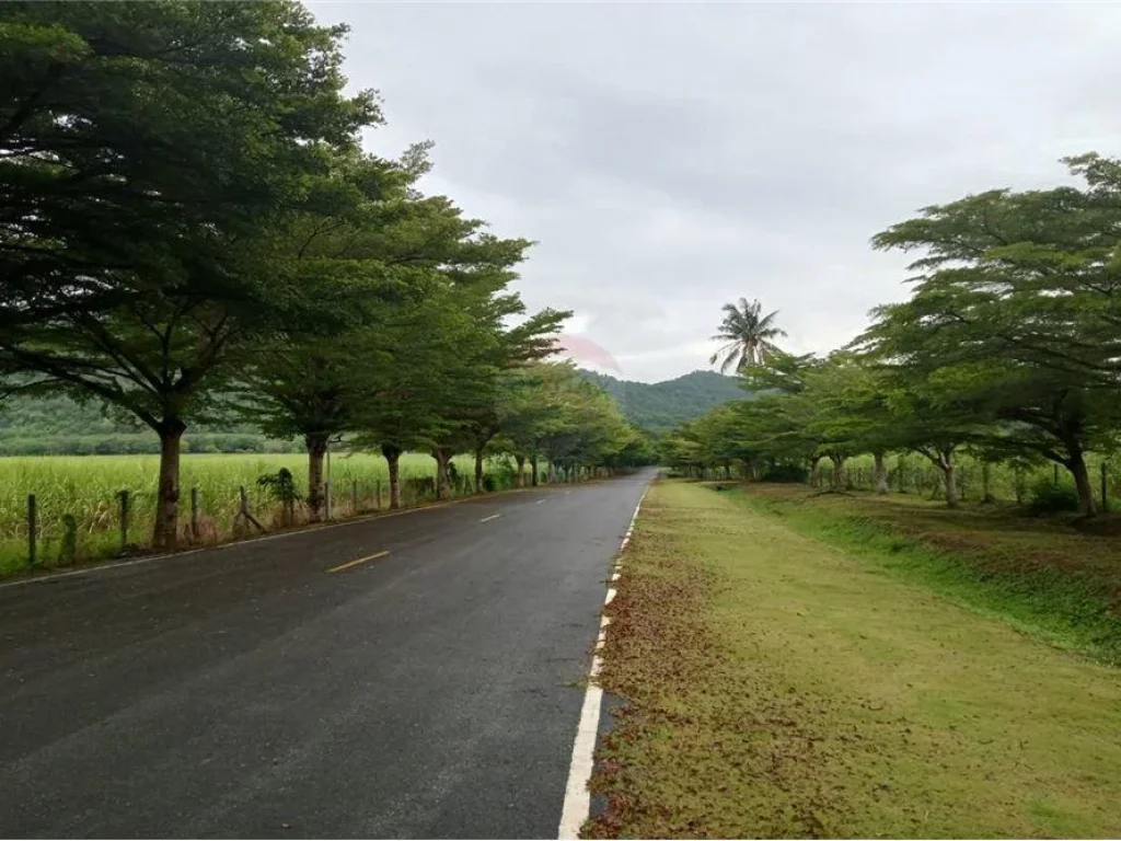 ขายที่ดินจัดสรร เขาใหญ่ Barn House Khao Yai Bilberry Hill ปากช่อง กู้สร้างบ้าน รีสอร์ท ซื้อลงทุน ที่ดินแบ่งขาย ตรว19500