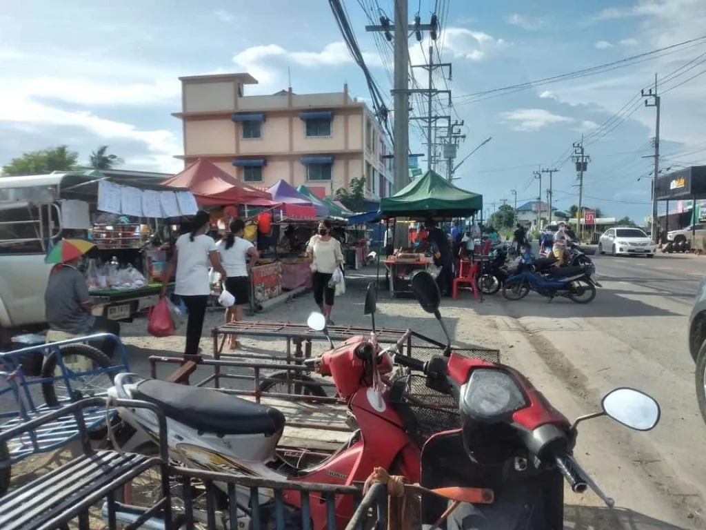 ขายที่ดิน 1-2-66 ไร่ ไทรน้อย - วัดต้นเชือก นนทบุรี ปัจจุบันมีคนเช่าทำตลาดนัด และมีบิ๊กซีเช่าอยู่ อนาคตมีเซเว่นเช่าเพิ่ม มีรายได้แน่นอน