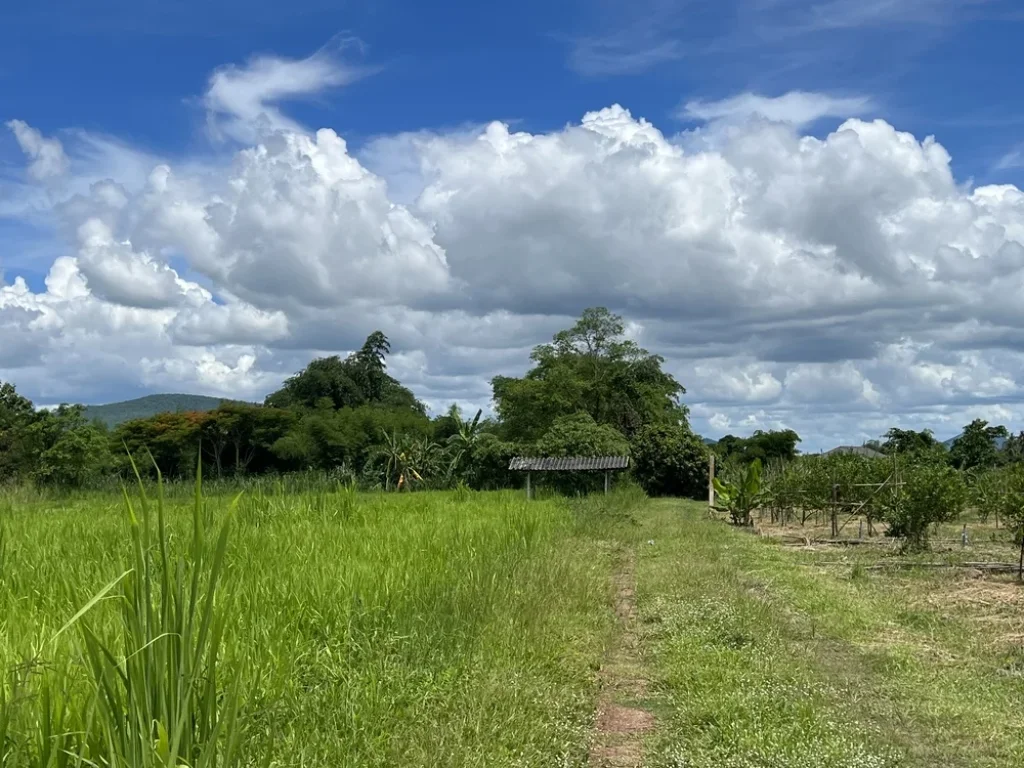 ที่ติดลำห้วยแม่ประจันต์ วิวภูเขาสวย น้ำไหลตลอดทั้งปี