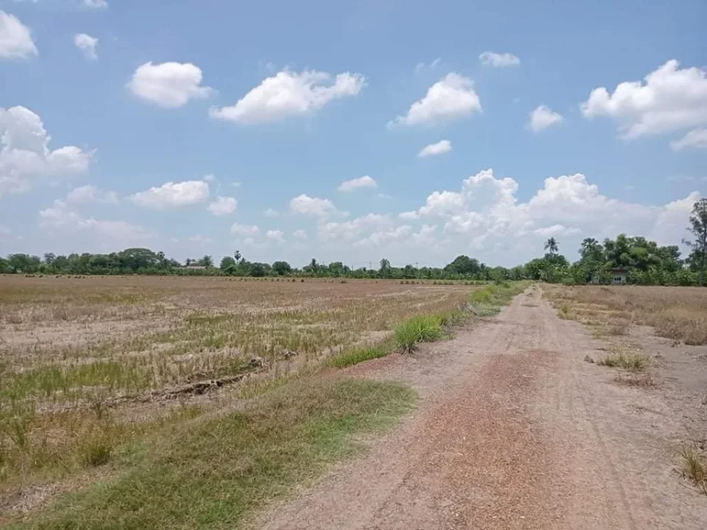 ขายที่ดินติดคลอง ทำเลเมืองฉะเชิงเทรา เดินทางสะดวก ใกล้ถนนสุวินทวงศ์ อเมือง จฉะเชิงเทรา