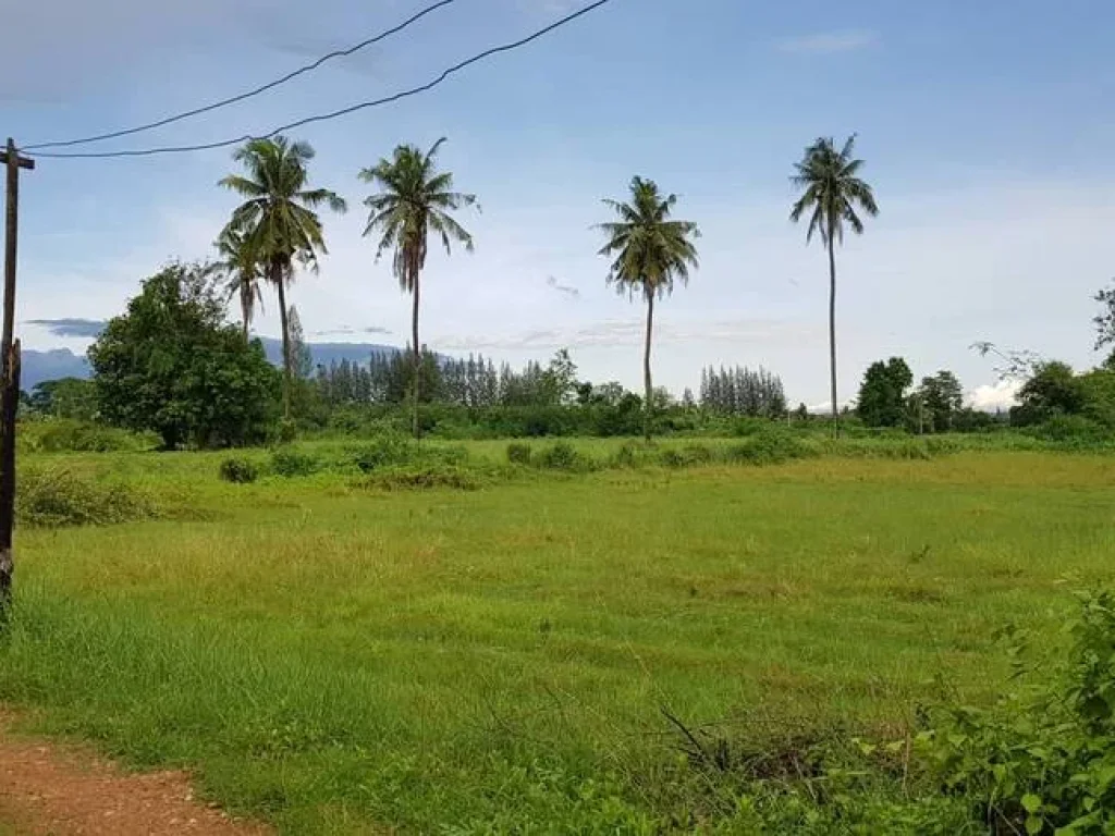 ที่ดินสวนสวยไม่ต้องถม วิวภูเขาอุดมสมบูรณ์ 65ไร่เศษ หน้า-หลังกว้างติดถนนในชุมชนไฟฟ้าประปาพร้อม ใกล้ถนนใหญ่แก่งกระจาน1กม