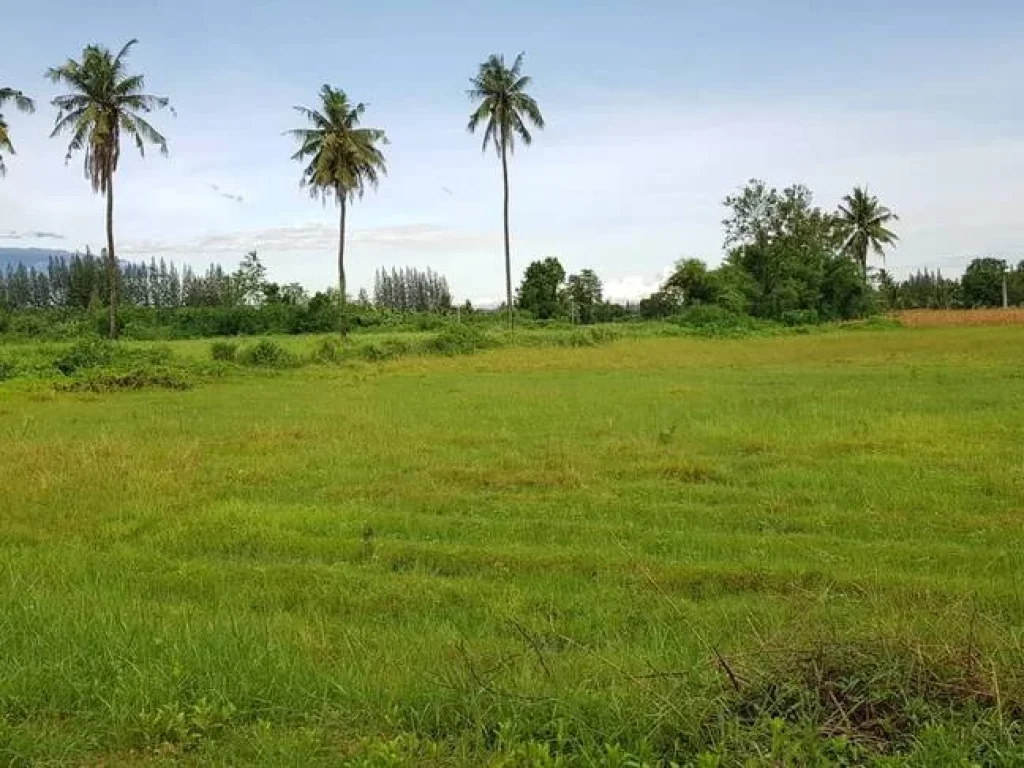 ที่ดินสวนสวยไม่ต้องถม วิวภูเขาอุดมสมบูรณ์ 65ไร่เศษ หน้า-หลังกว้างติดถนนในชุมชนไฟฟ้าประปาพร้อม ใกล้ถนนใหญ่แก่งกระจาน1กม