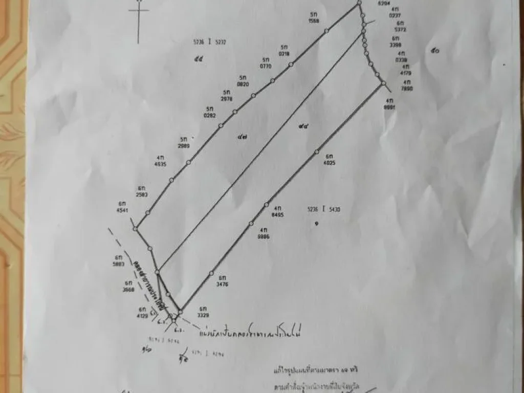 ที่ดินอพนมสารคาม เนื้อที่ 67 ไร่ 2 งาน 59 วา ที่นา 2 โฉนด ตหนองยาว อพนมสารคาม จฉะเชิงเทรา