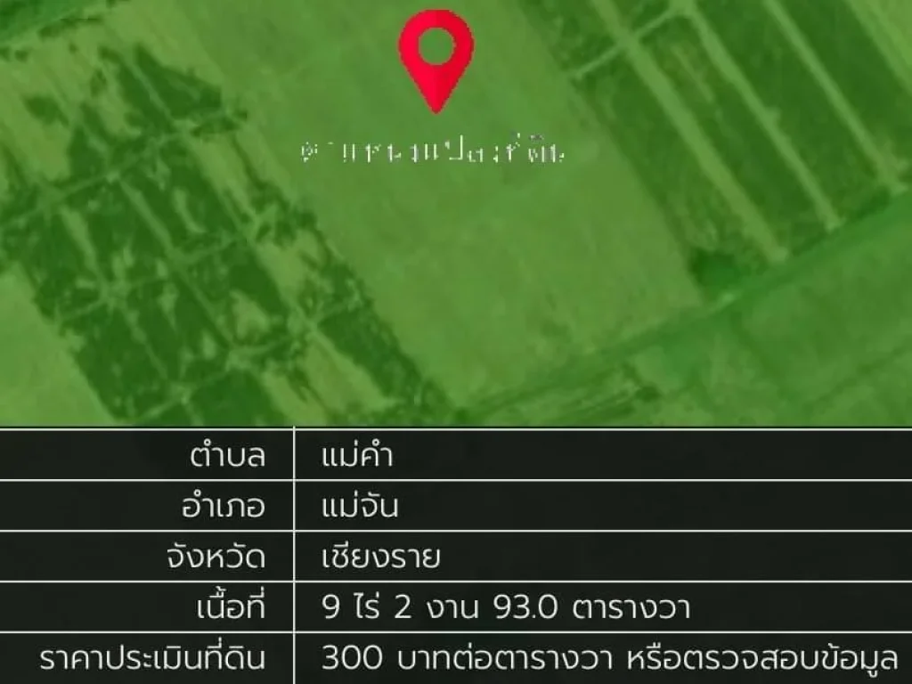 ขายที่ดินวิวเขาสวย 9-2-93 ไร่ บรรยากาศธรรมชาติ แม่จัน เชียงราย