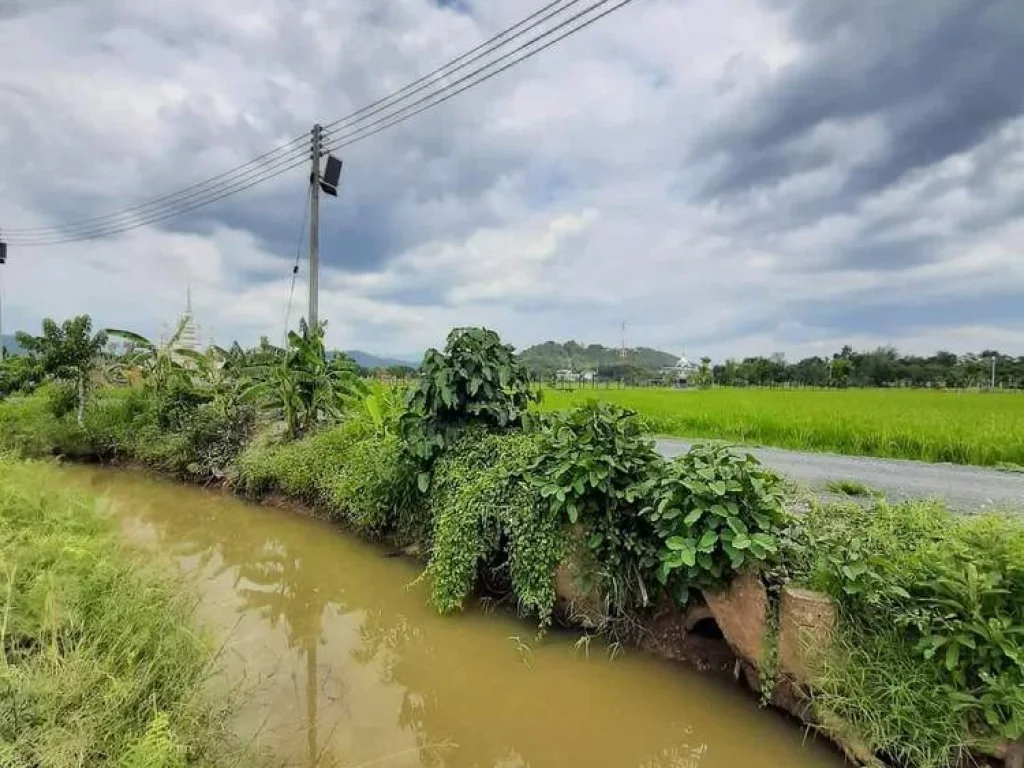 ขายที่ดินวิวดอยติดลำห้วยลวงเหนือดอยสะเก็ตห่างโรงพยาบาลดอยสะเก็ตเพียง15กม