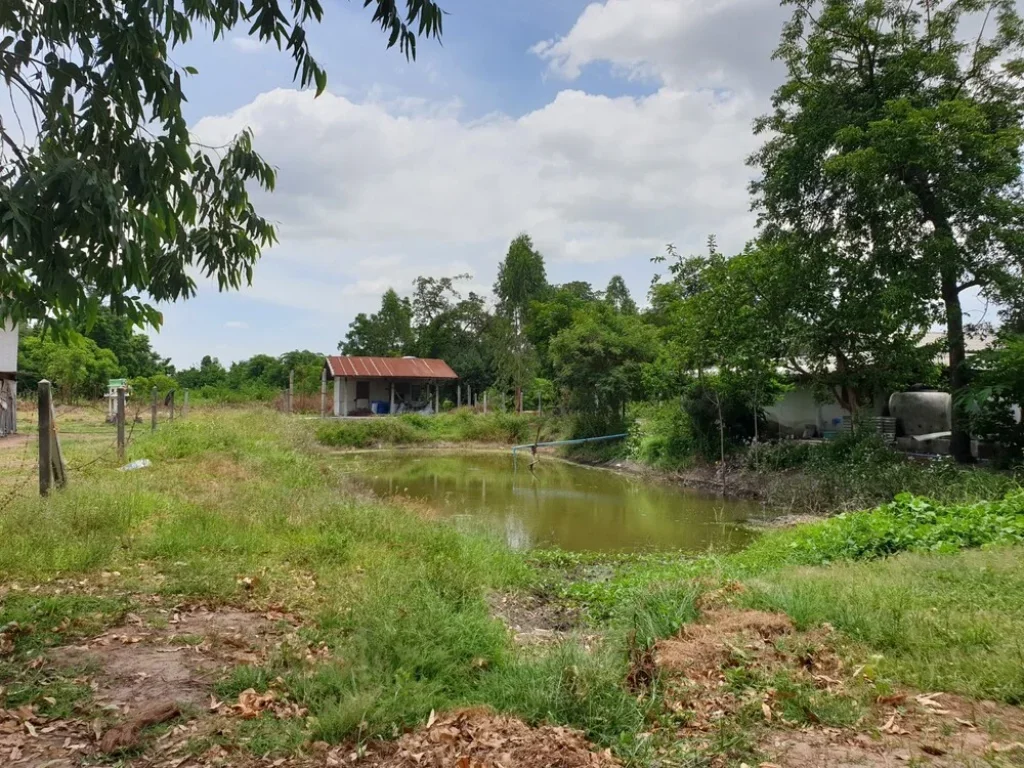 ขายที่ดิน พื้นที่เกือบ 2 ไร่ อเมือง จสุพรรณบุรี เจ้าของโพสเอง ติดต่อได้โดยตรง ติดถนนคอนกรีต ถมแล้ว มีน้ำ-ไฟฟ้า จาก MRT 80 นาที