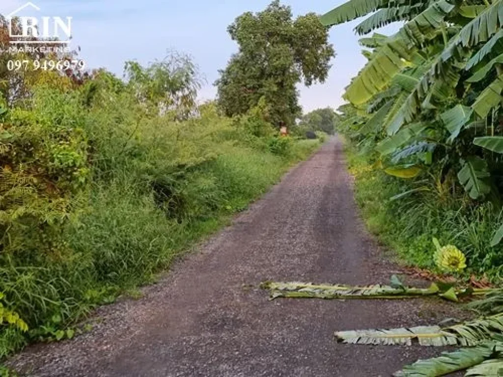 ขายที่ดินสวย 100 ตรว ซ149 คลองสาม คลองหลวง ปทุมธานี