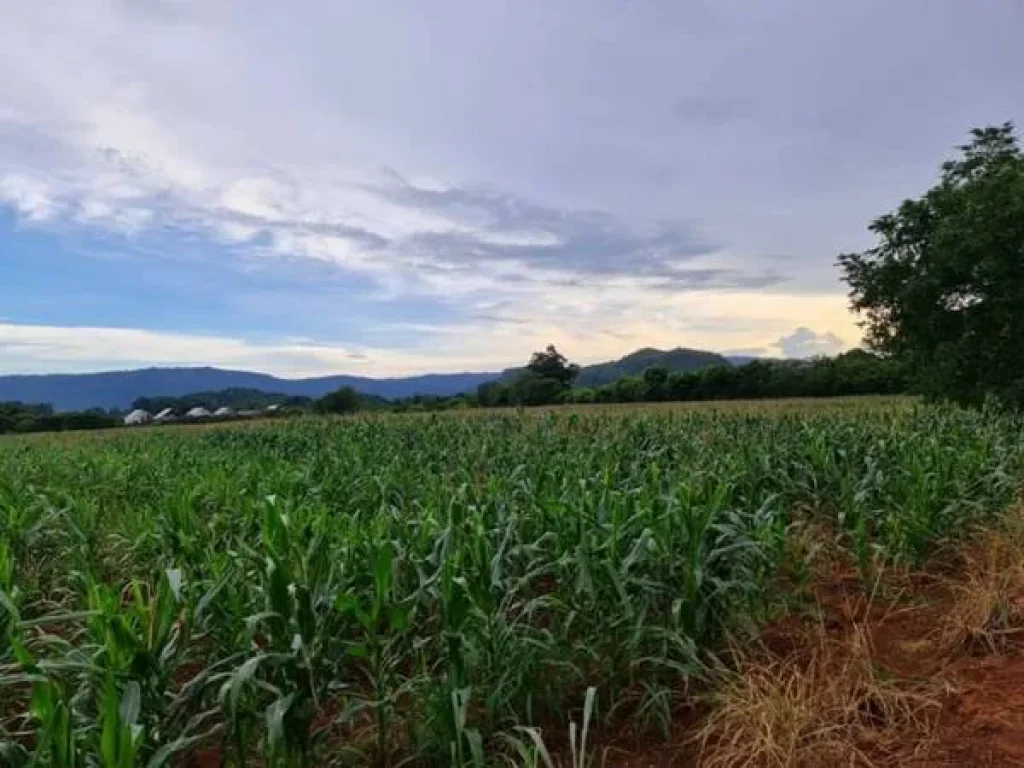 ขายที่ดินวิวขาใหญ่ สวยมาก อยู่หมูสี ใกล้Toscana และถธนะรัชต์ ราคาสวย ที่สวย หายาก