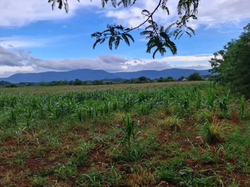 ขายที่ดินวิวขาใหญ่ สวยมาก อยู่หมูสี ใกล้Toscana และถธนะรัชต์ ราคาสวย ที่สวย หายาก