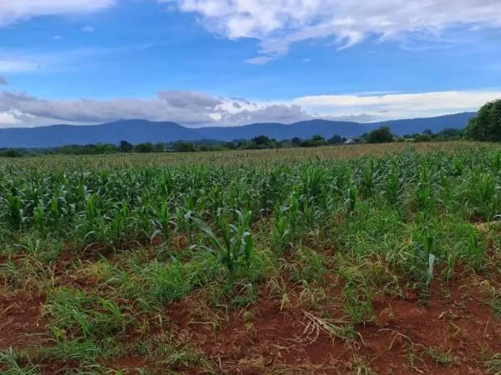 ขายที่ดินวิวขาใหญ่ สวยมาก อยู่หมูสี ใกล้Toscana และถธนะรัชต์ ราคาสวย ที่สวย หายาก